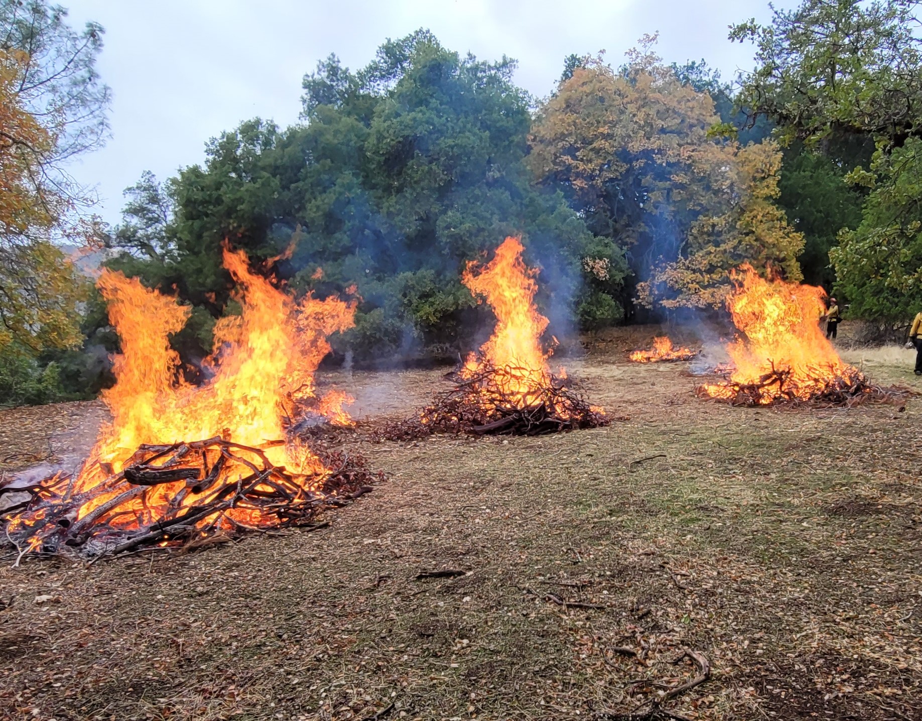 pile burn photos showing three piles burning